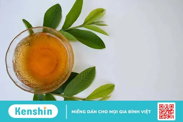 Bật mí 5 cách làm trà lá ổi giảm cân và những lưu ý cần nhớ