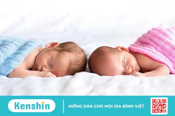 Bật mí 5 cách mang thai đôi dễ dàng được nhiều cặp đôi quan tâm