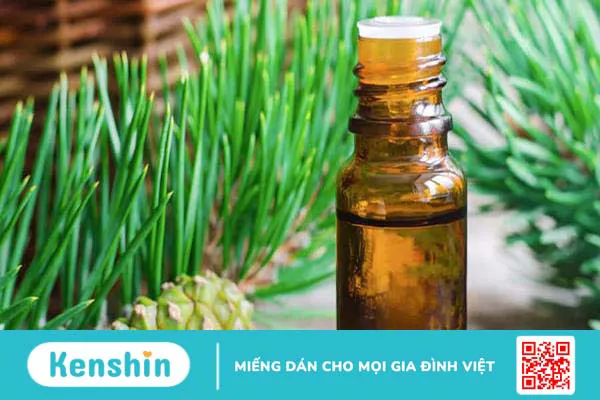 Bật mí 8 loại tinh dầu đuổi muỗi và côn trùng