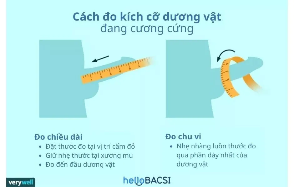 Bật mí cách chọn size bao cao su đúng với kích cỡ dương vật