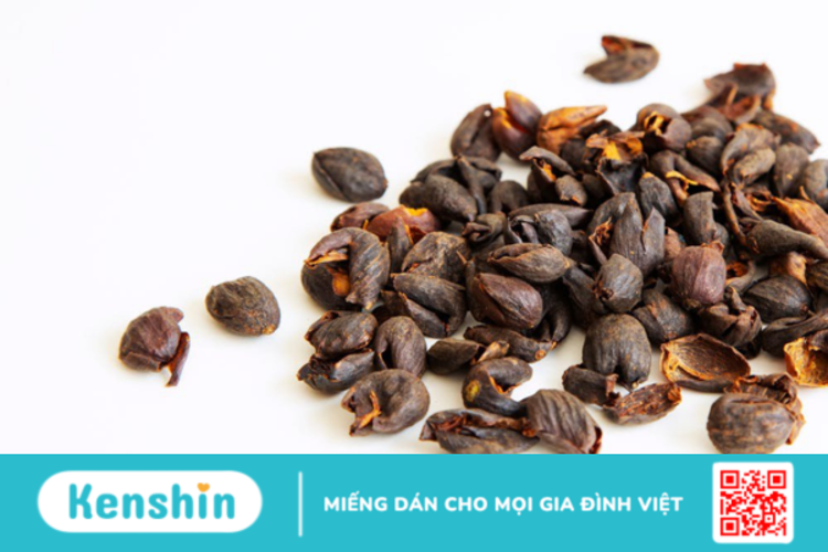 Bất ngờ với công dụng và lợi ích của Cascara