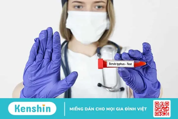 Bệnh Rickettsia là gì? Tìm hiểu các triệu chứng, điều trị và phòng ngừa