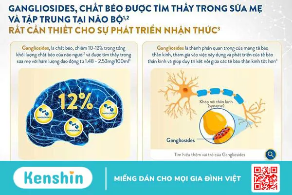 Bộ 3 dưỡng chất giúp con phát triển trí não vượt trội: Mẹ nhất định phải biết!