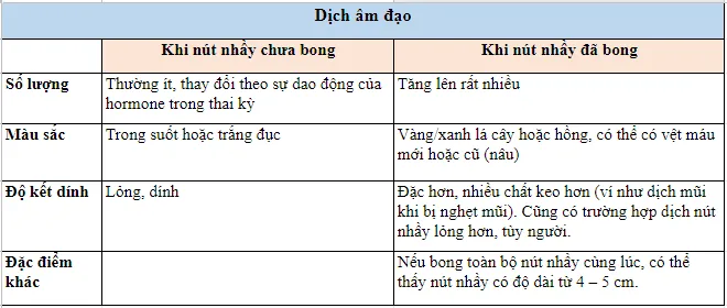 Bong nút nhầy là như thế nào? Bong nút nhầy tử cung sớm có sao không?