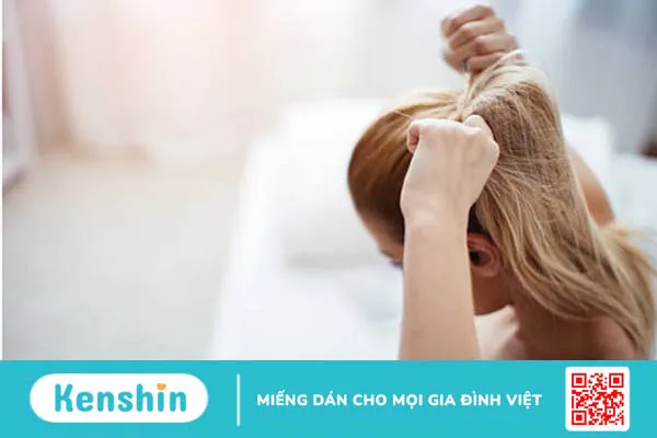 Bột chùm ngây có gì hay mà mọi người đều thích?