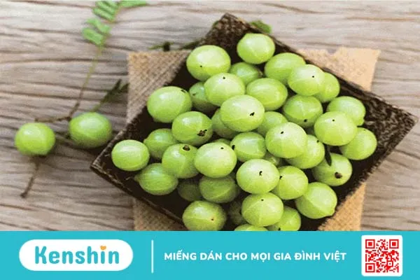 Bột Triphala: Thảo dược giúp bạn ngăn ngừa ung thư