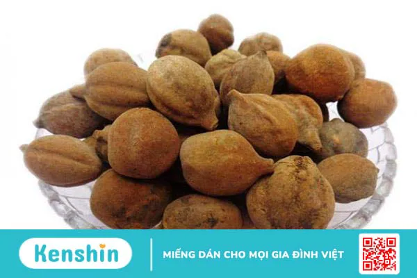 Bột Triphala: Thảo dược giúp bạn ngăn ngừa ung thư