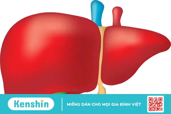 Các bệnh ung thư ở trẻ em thường gặp