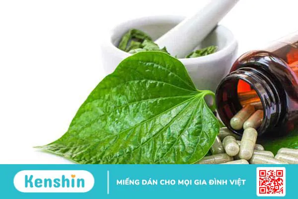 Các loại cây chữa bệnh xương khớp: 9 thảo dược hiệu quả, an toàn