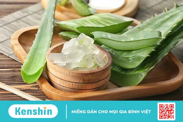 Các loại cây chữa bệnh xương khớp: 9 thảo dược hiệu quả, an toàn