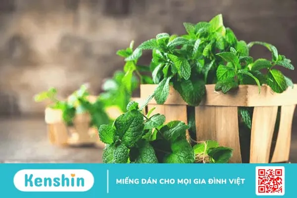 Các loại gia vị tốt cho sức khỏe