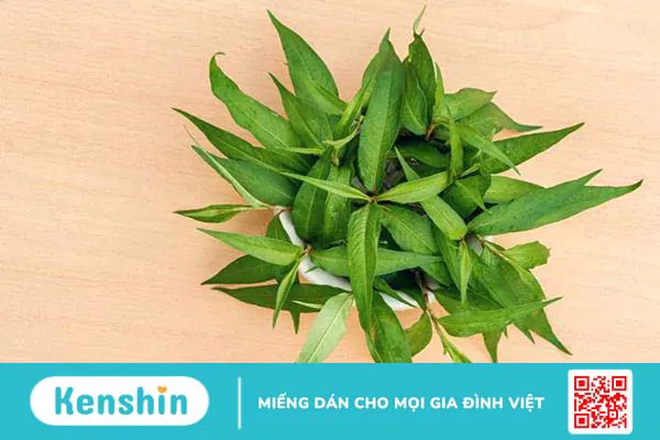 Các loại rau làm mất sữa mà mẹ nên tránh xa để con mau lớn