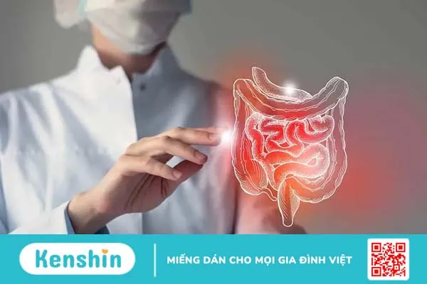 Các triệu chứng viêm loét đại tràng là gì? Khi nào bạn cần đi khám?