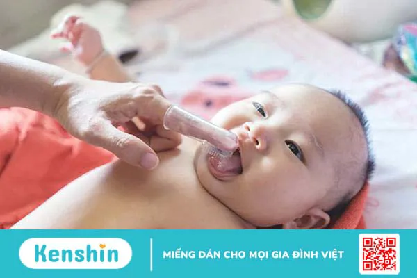 Cách rơ lưỡi bằng rau ngót trị tưa lưỡi cho bé và những lưu ý cần nhớ