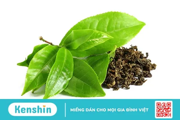 Cách sử dụng trà xanh giảm cân hiệu quả