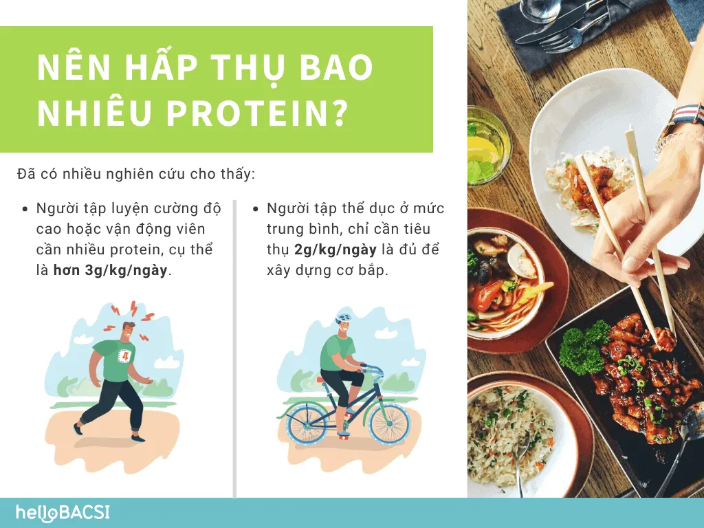 Cách tính lượng protein cần nạp cho người vận động