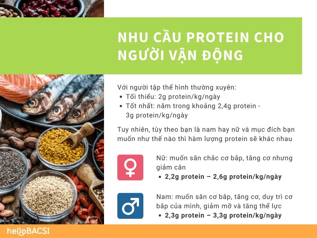 Cách tính lượng protein cần nạp cho người vận động