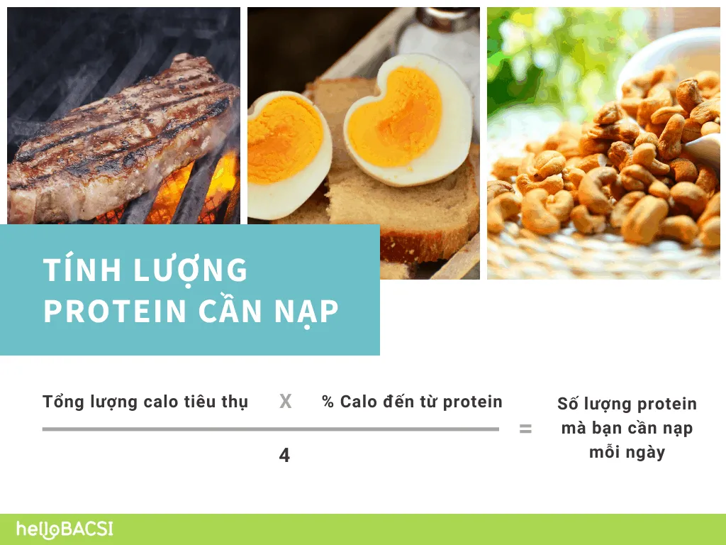 Cách tính lượng protein cần nạp cho người vận động