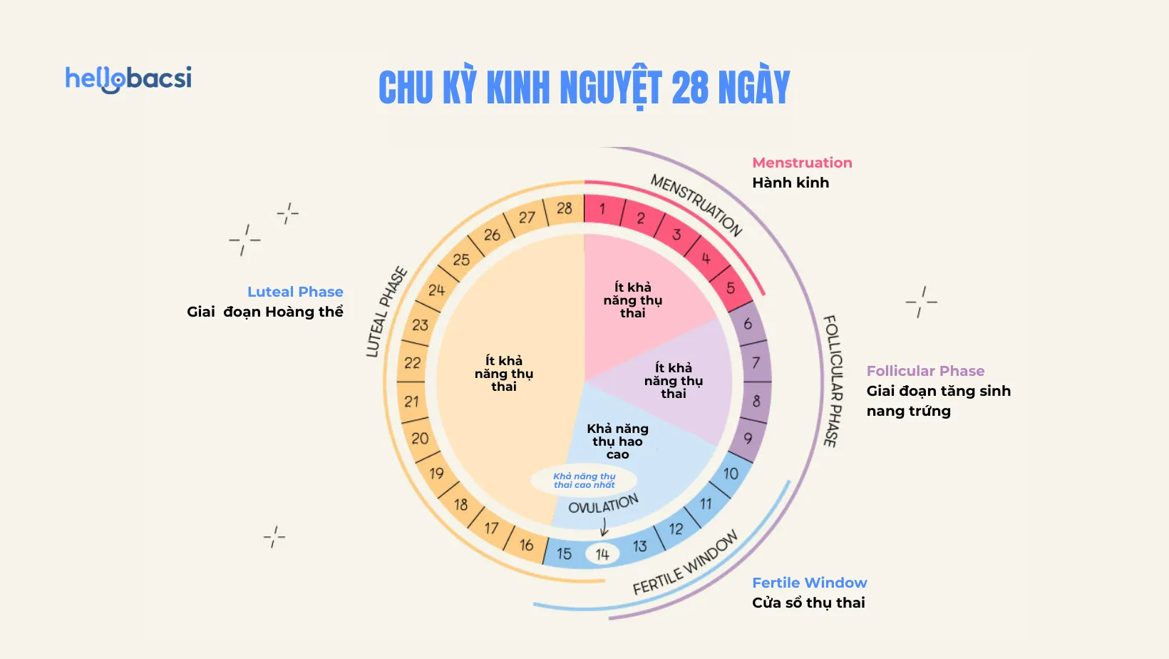 Cách tính ngày rụng trứng để tránh thai tự nhiên, an toàn