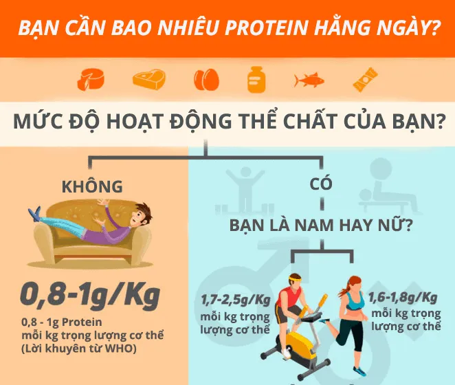 Cách tính nhu cầu protein của bạn