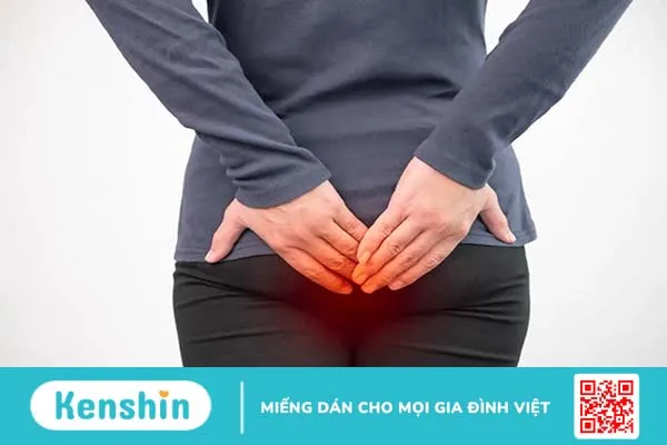 Cách trị trĩ ngoại và những thông tin cần biết về bệnh trĩ ngoại