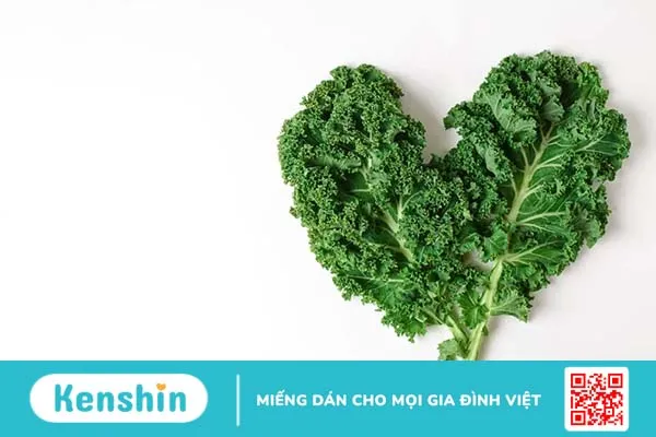 Cải xoăn: Siêu thực phẩm cho mọi độ tuổi