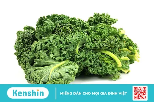 Cải xoăn: Siêu thực phẩm cho mọi độ tuổi