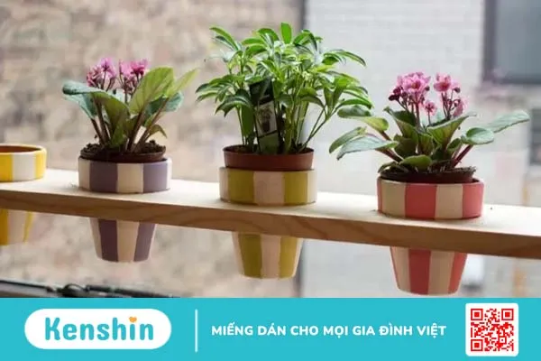 Cẩn thận khi sử dụng khăn ướt để bảo vệ làn da