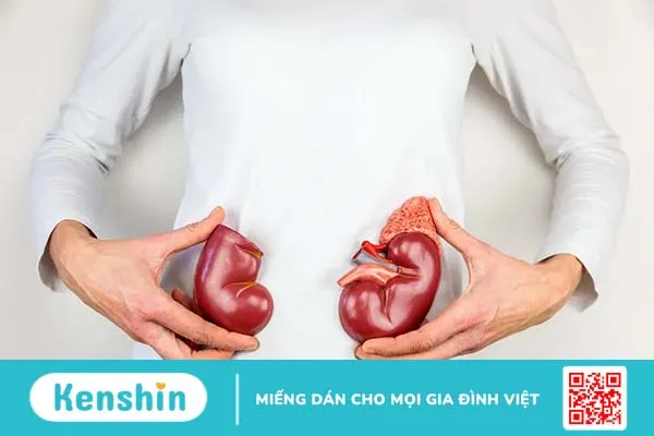 Cẩn thận với 7 dấu hiệu thận yếu ở phụ nữ và cách phòng ngừa