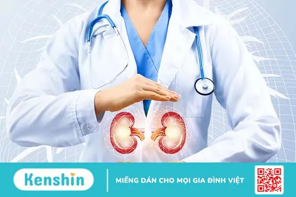 Cẩn thận với 7 dấu hiệu thận yếu ở phụ nữ và cách phòng ngừa