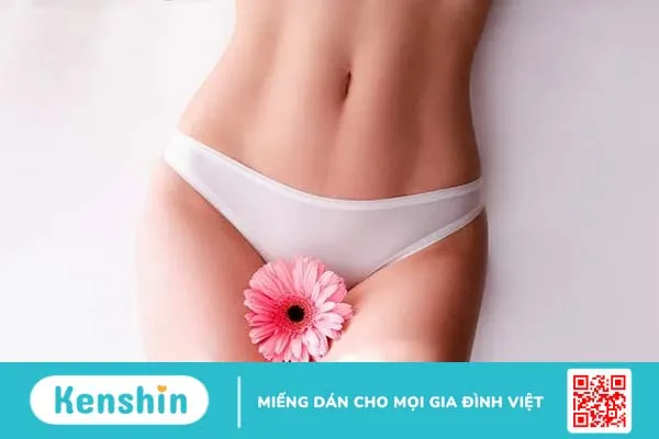 Cạo lông vùng kín nữ có ảnh hưởng gì không? Cách cạo lông an toàn