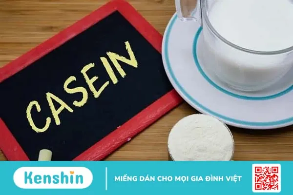 Casein protein là gì mà giúp bạn nuôi dưỡng cơ bắp?