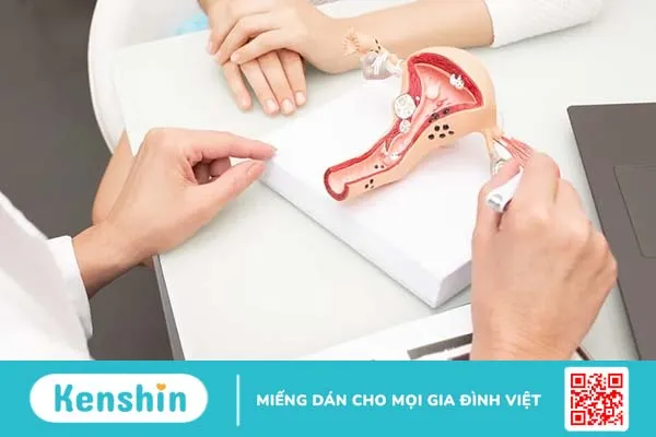 Cắt tử cung có còn kinh nguyệt không? Phụ nữ sẽ thay đổi thế nào sau khi phẫu thuật?