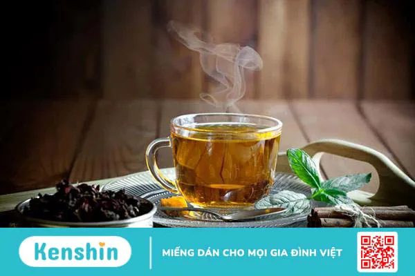 Cây khổ sâm cho lá: Vị thuốc cho bệnh dạ dày và nhiều công dụng khác