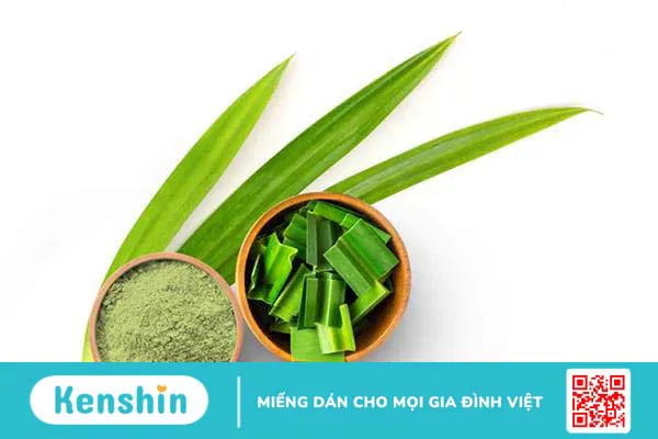 Cây lá dứa (cơm nếp) có tác dụng gì với sức khỏe?