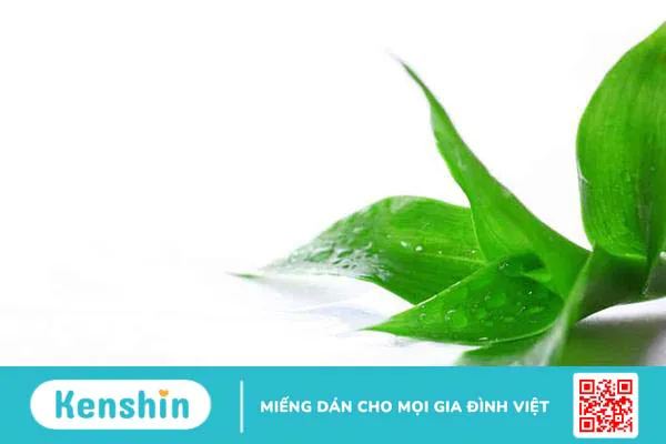 Cây lược vàng: Từ cây cảnh đến vị thuốc chữa bệnh