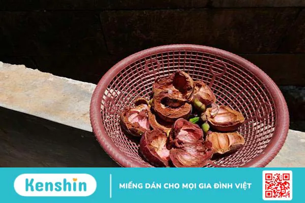 Cây măng cụt: Từ món ăn ngon đến vị thuốc quý