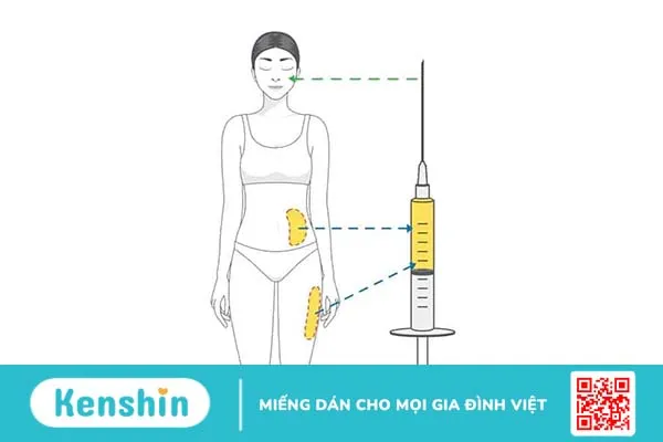 Cấy mỡ tự thân: Liệu có an toàn và hiệu quả dài lâu?