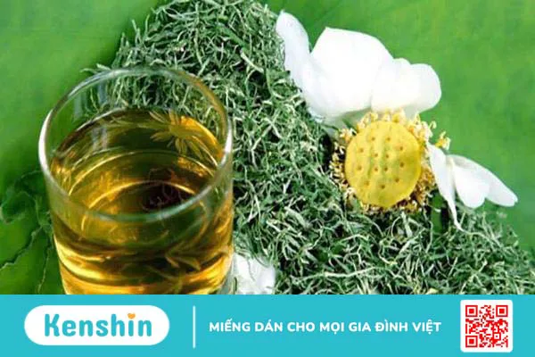 Cây sen: Bài thuốc quý giúp bạn luôn khỏe đẹp