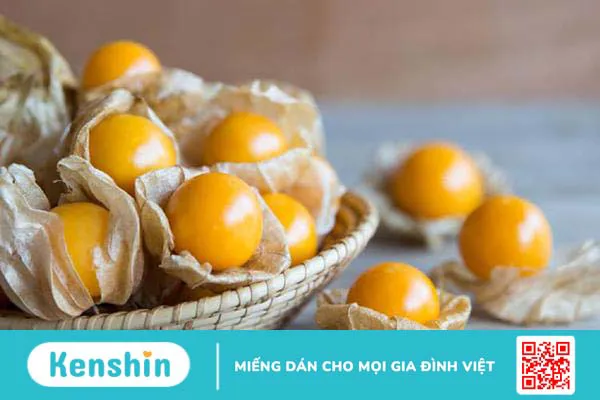 Cây tầm bóp chữa bệnh gì? Tác dụng & tác hại