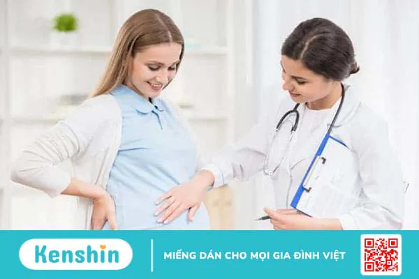 Cây tầm ma – Bí quyết chữa bệnh từ xa xưa