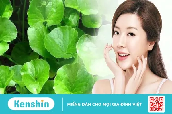 Chăm sóc da khỏe đẹp với rau má