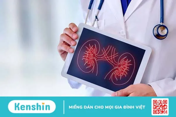 Chẩn đoán suy thận cấp bao gồm những xét nghiệm gì?