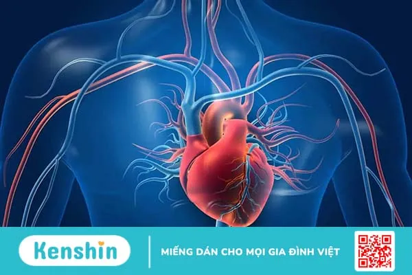 Chất đạm cung cấp 15 lợi ích vàng cho cơ thể khỏe mạnh