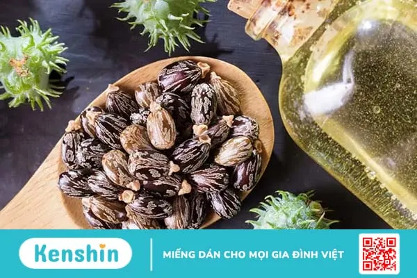 Chất độc ricin từ hạt thầu dầu nguy hiểm như thế nào? Giải độc ra sao?