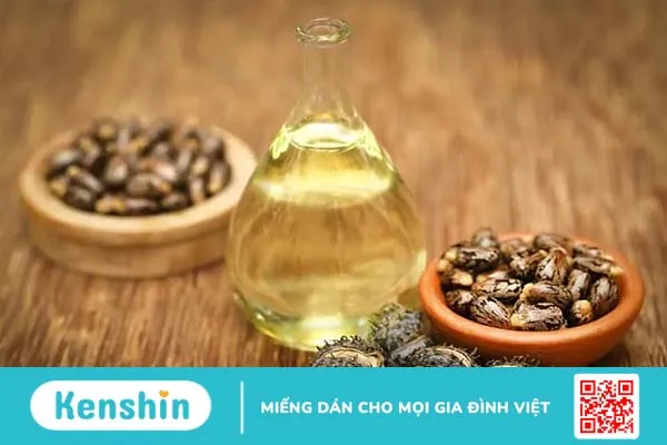 Chất độc ricin từ hạt thầu dầu nguy hiểm như thế nào? Giải độc ra sao?