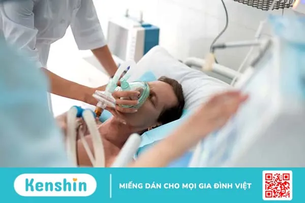 Chất độc ricin từ hạt thầu dầu nguy hiểm như thế nào? Giải độc ra sao?