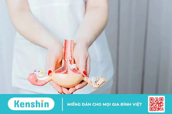 Chảy máu âm đạo sau phá thai, bạn cần lưu ý dấu hiệu bất thường nào?