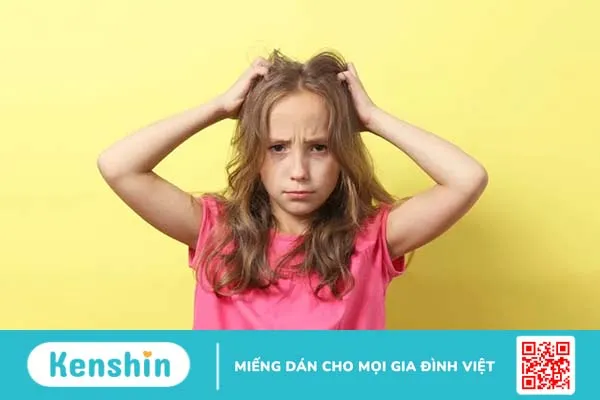 Chấy rận (chí rận) và những điều cần biết và cách phòng tránh