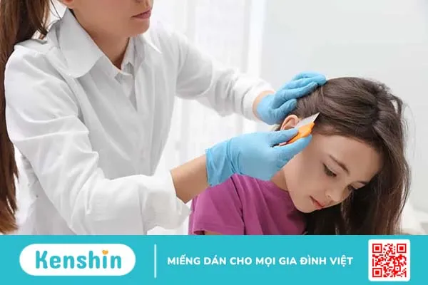 Chấy rận (chí rận) và những điều cần biết và cách phòng tránh